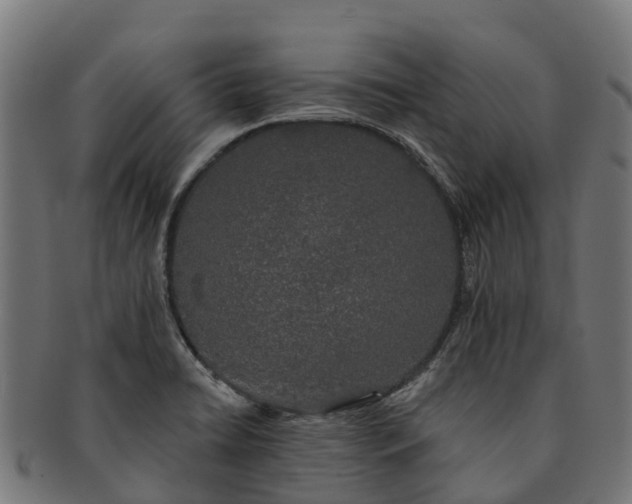 X0000091331422200708241150