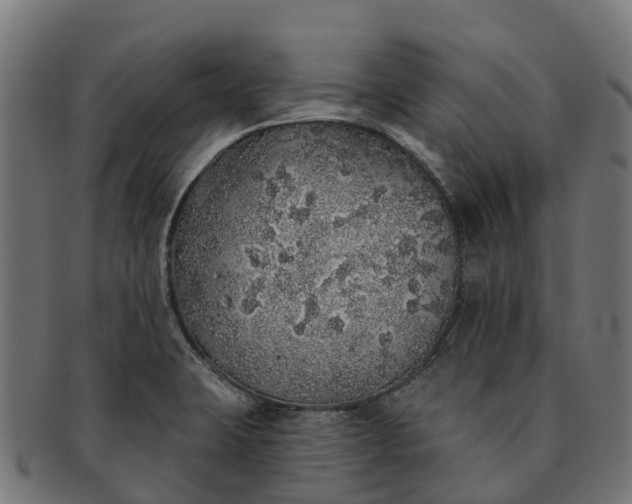 X0000091331423200708241150