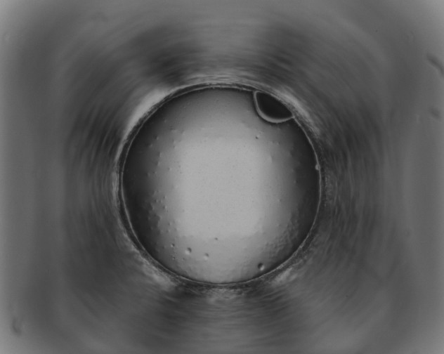 X0000091331424200708241150