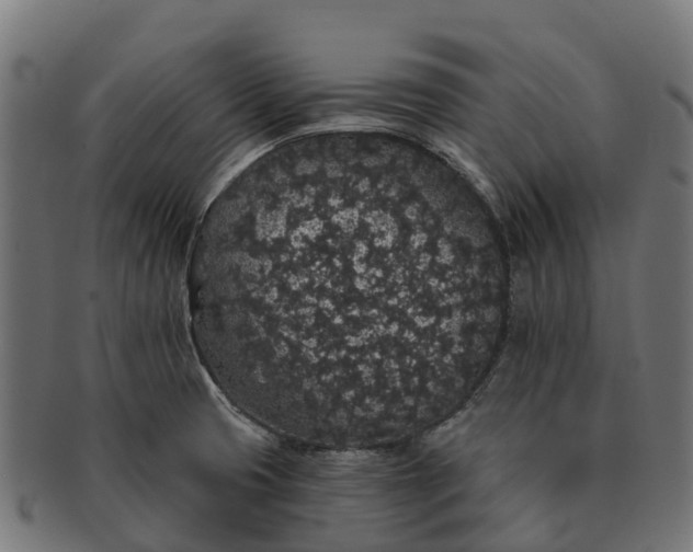 X0000091331425200708241150