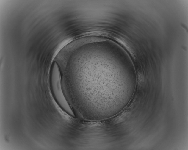 X0000091331426200708241150