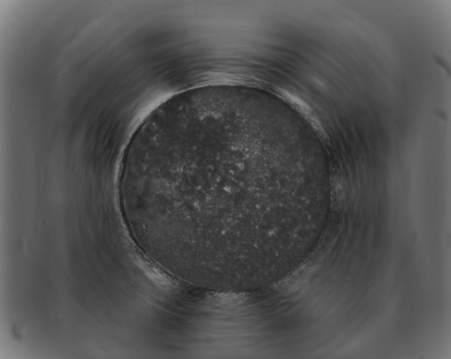 X0000091331427200708241150