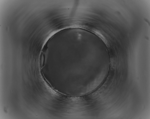 X0000091331428200708241150