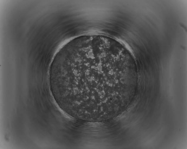 X0000091331429200708241150