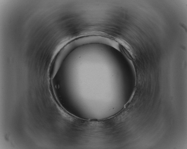 X0000091331430200708241150