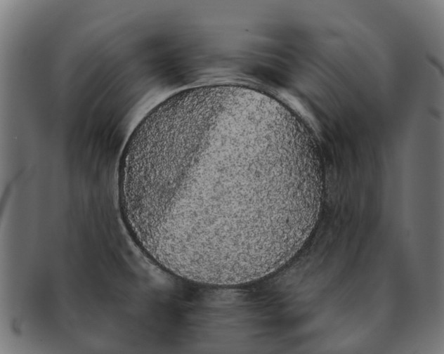 X0000091331431200708241150