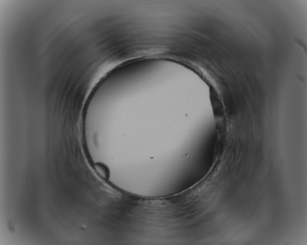 X0000091331432200708241150