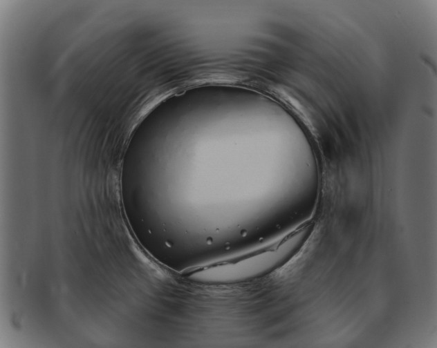 X0000091331433200708241150