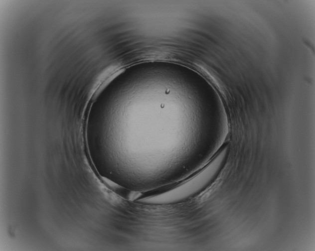 X0000091331434200708241150