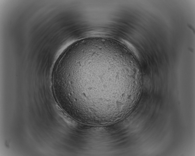 X0000091331435200708241150