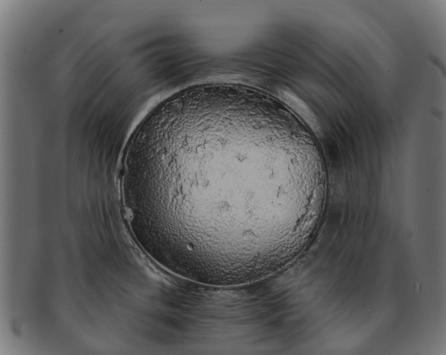 X0000091331436200708241150