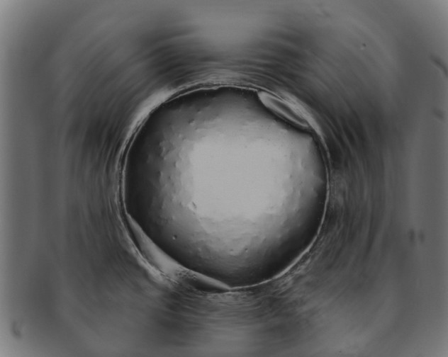 X0000091331437200708241150