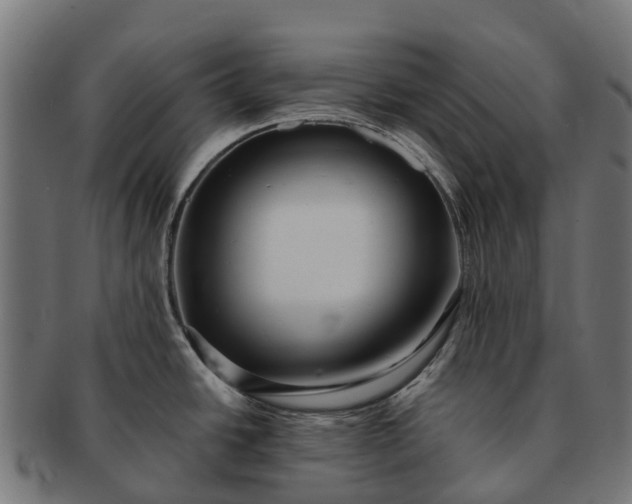 X0000091331438200708241150