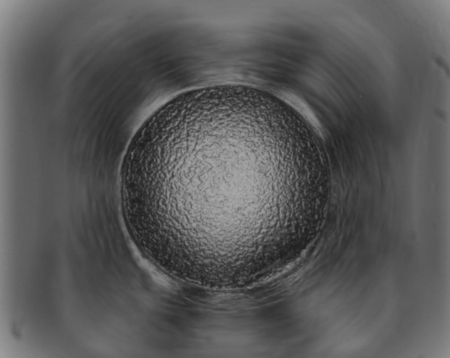 X0000091331439200708241150