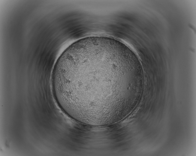 X0000091331440200708241150