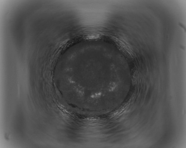 X0000091331441200708241149