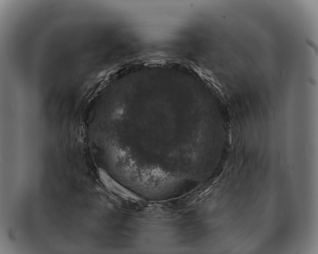 X0000091331445200708241149