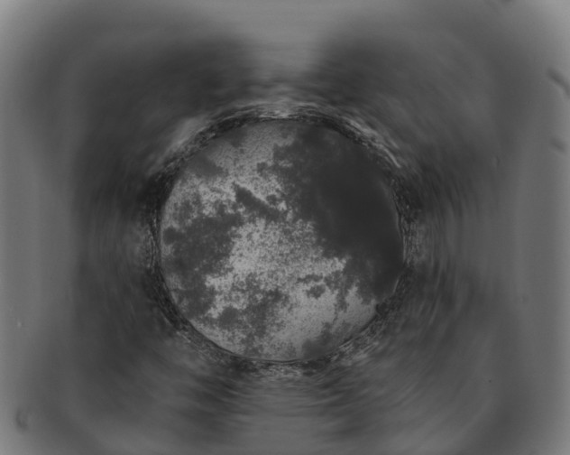 X0000091331446200708241149