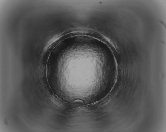 X0000091331448200708241149