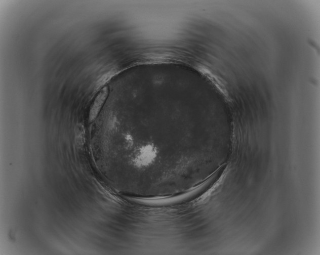 X0000091331449200708241149