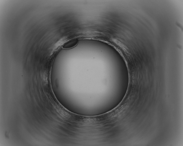 X0000091331451200708241149