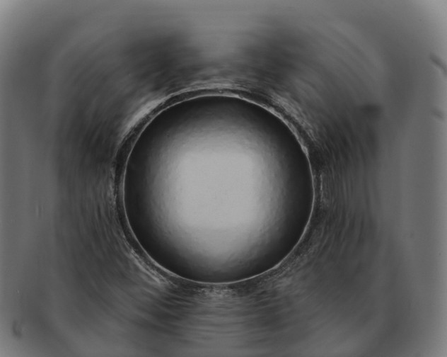 X0000091331452200708241149