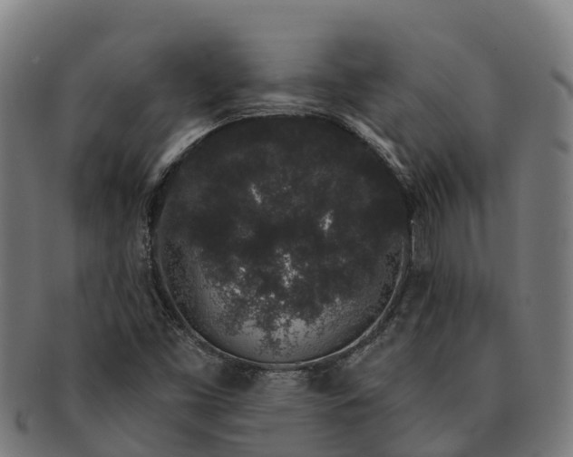 X0000091331453200708241149