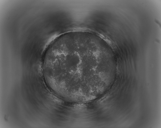 X0000091331454200708241149