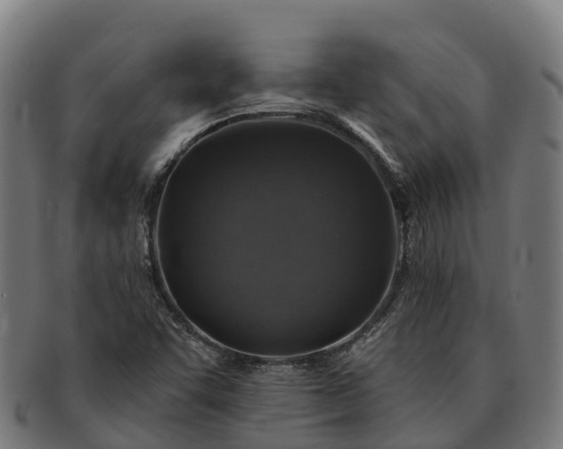 X0000091331455200708241149