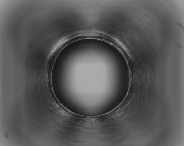 X0000091331456200708241149