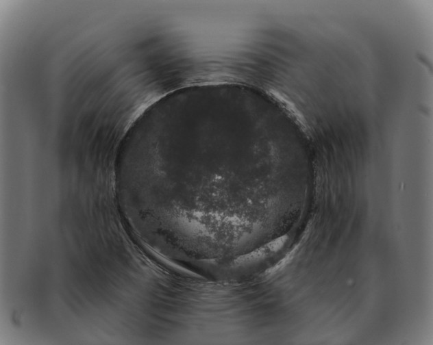 X0000091331457200708241149