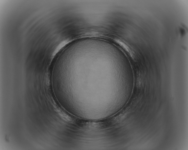 X0000091331458200708241149