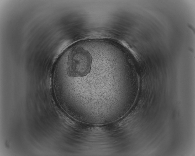 X0000091331459200708241149