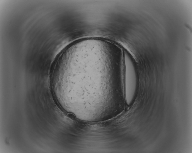 X0000091331460200708241149