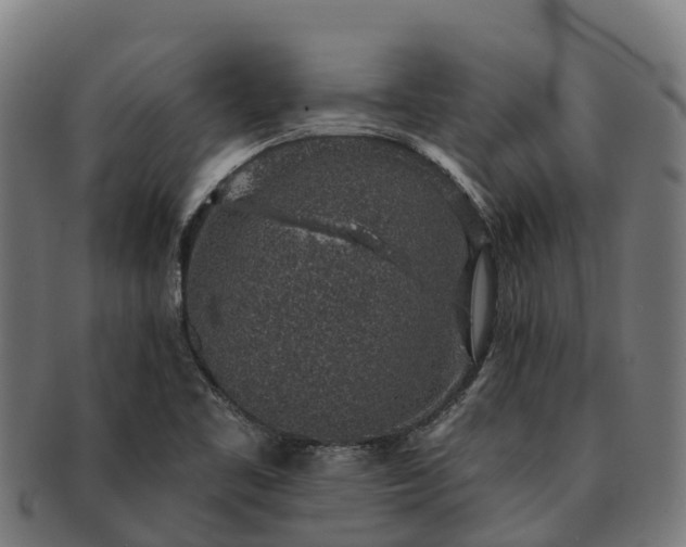 X0000091331461200708241149