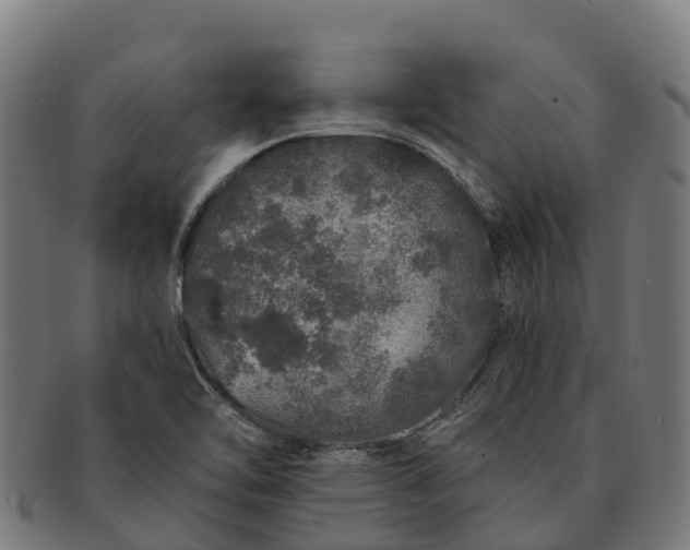 X0000091331462200708241149