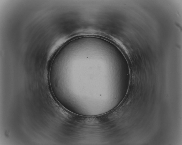 X0000091331464200708241149