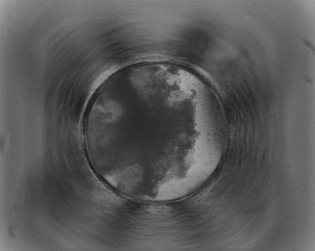 X0000091331466200708241149