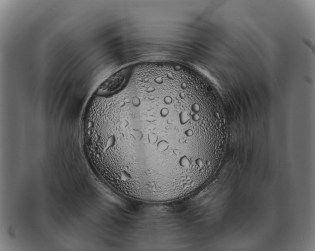 X0000091331467200708241149