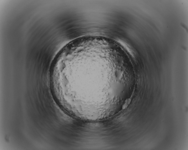 X0000091331468200708241149