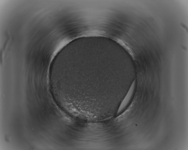 X0000091331469200708241149