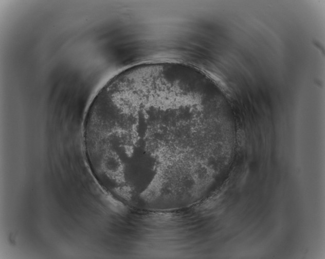 X0000091331470200708241149