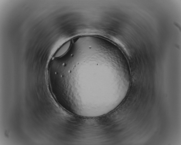 X0000091331472200708241148