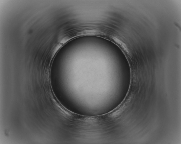 X0000091331473200708241148