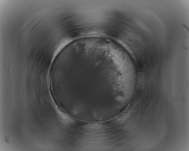 X0000091331474200708241148