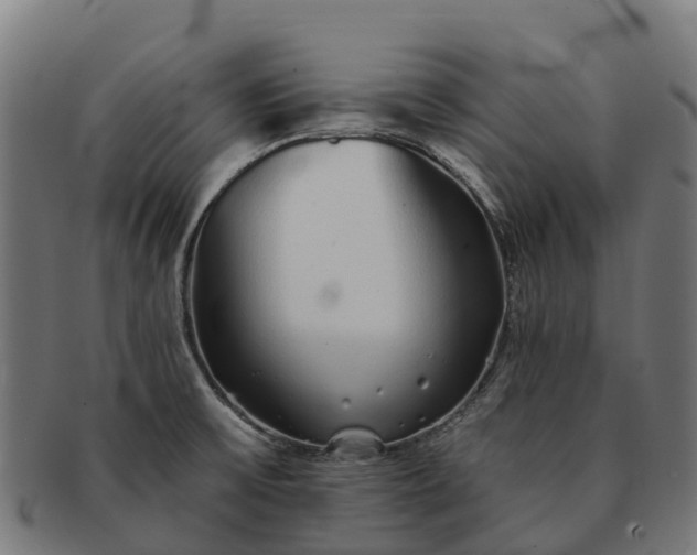 X0000091331475200708241148