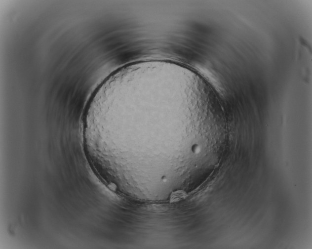 X0000091331476200708241148