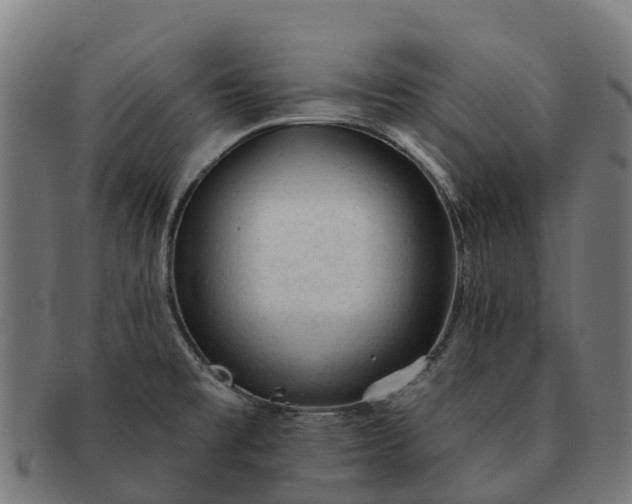 X0000091331477200708241148