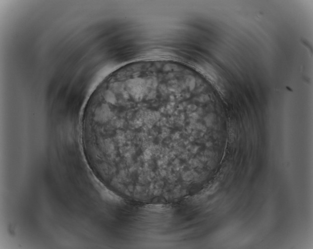 X0000091331478200708241148