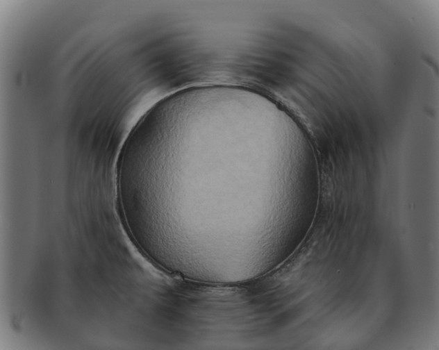 X0000091331479200708241148